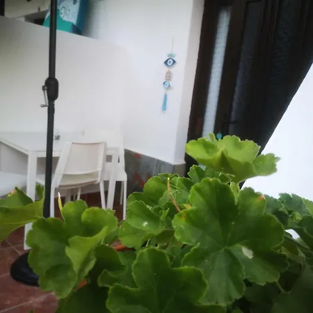 Achillion B&B Paralia Skotinis Exterior photo