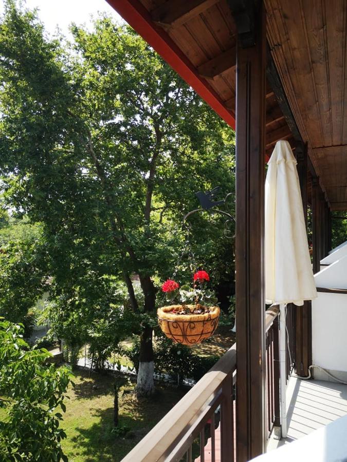 Achillion Apartment Paralia Skotinis