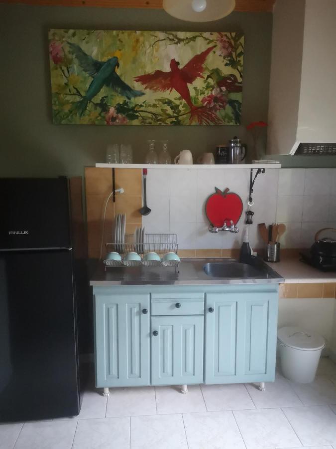 Achillion Apartment Paralia Skotinis